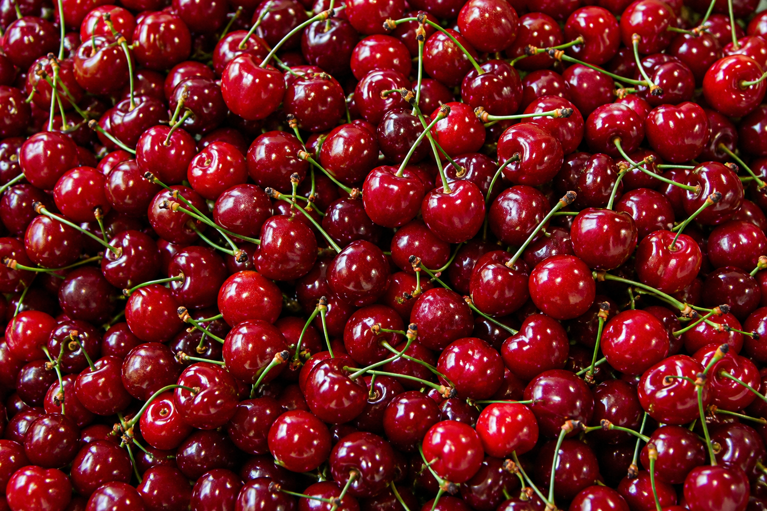Frutta fresca
