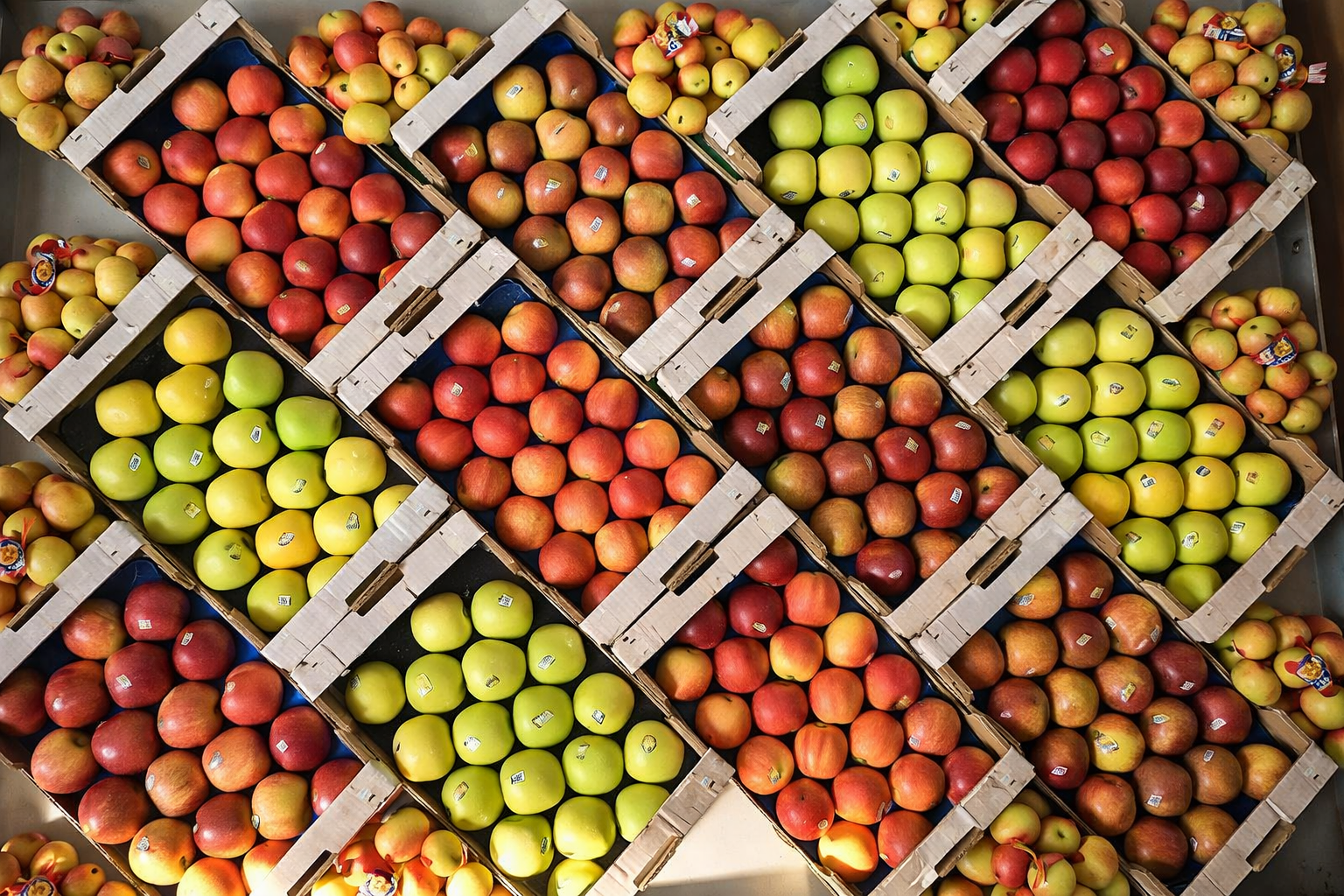 Frutta fresca