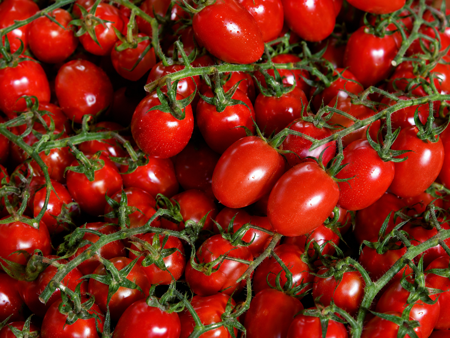 Frutta fresca