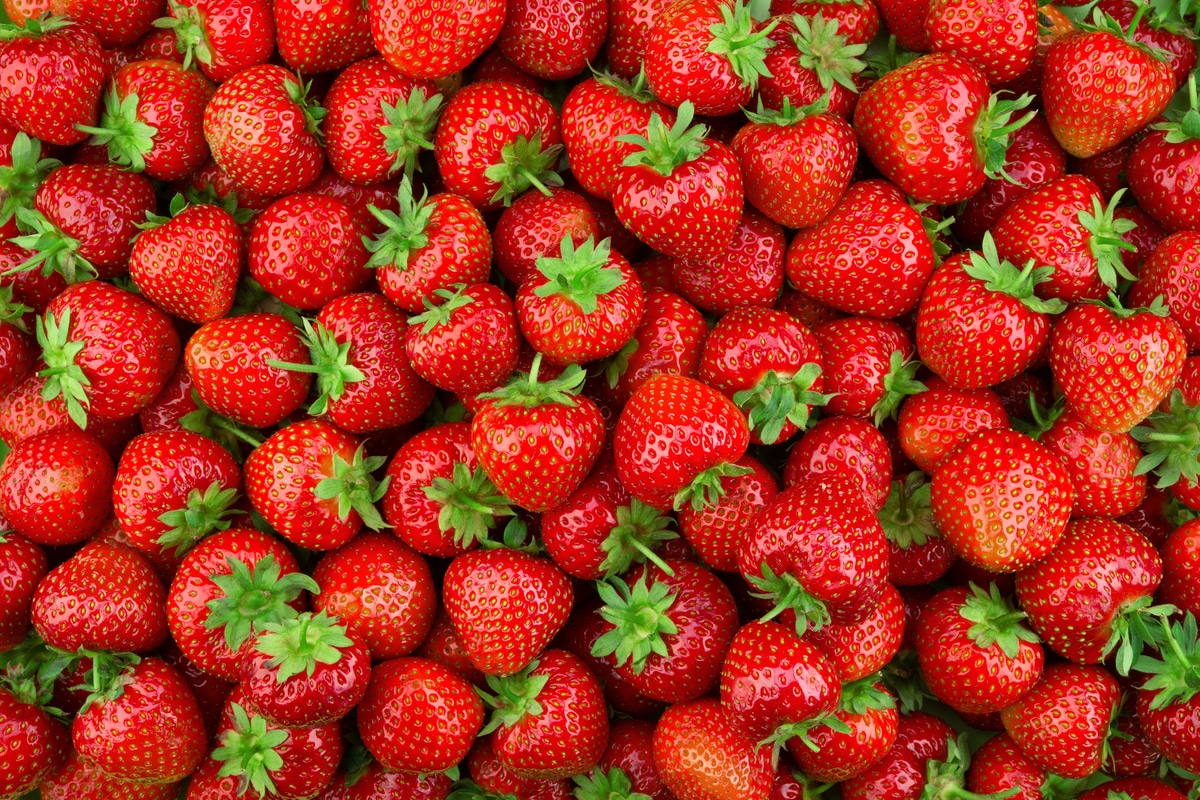 Frutta fresca